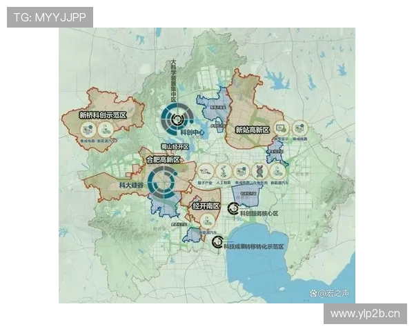 合肥企业家创新发展模式推动城市经济转型与高质量增长探索